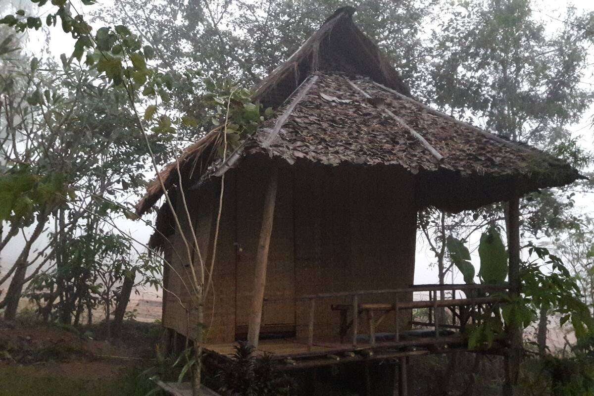 A rustic wooden hut with a thatched roof, situated on stilts among trees.