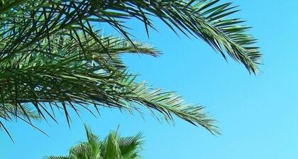 Rubi Hotel - All inclusive