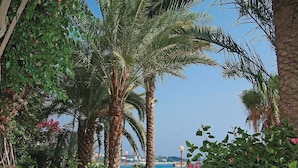A pathway lined with palm trees and flowering plants, leading to a view of the sea. - Rubi Hotel - All inclusive (Alanya)
