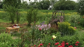 A garden with a wooden bench, various flowers, and a rustic trellis structure. - Pension Natsumi no Sato (Biei)
