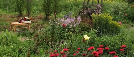 Jardin