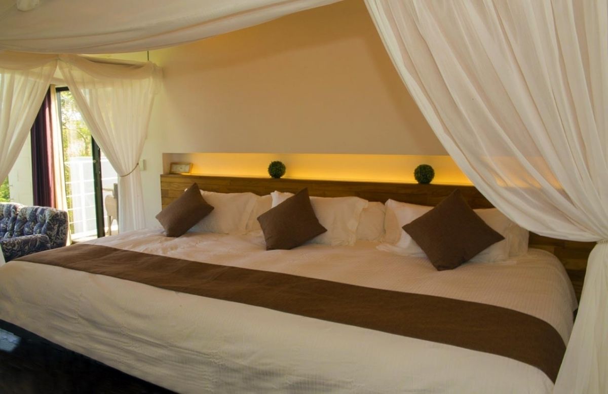 A large bed with a wooden headboard, white and brown bedding, and sheer curtains.