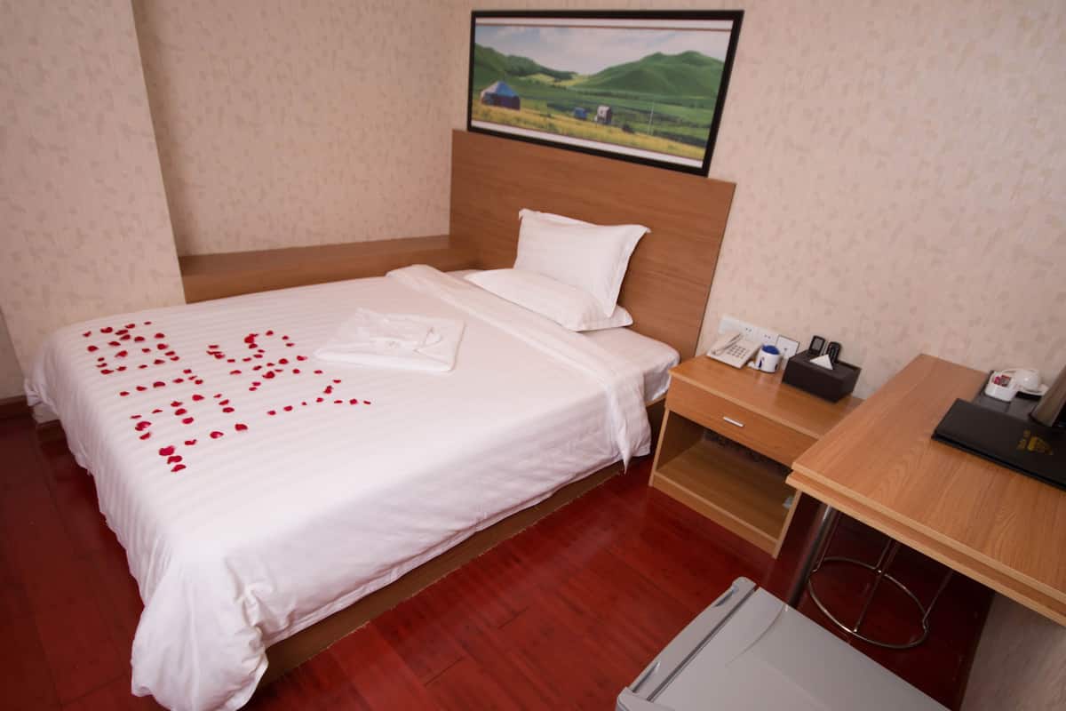 Standard Single Room, No Windows