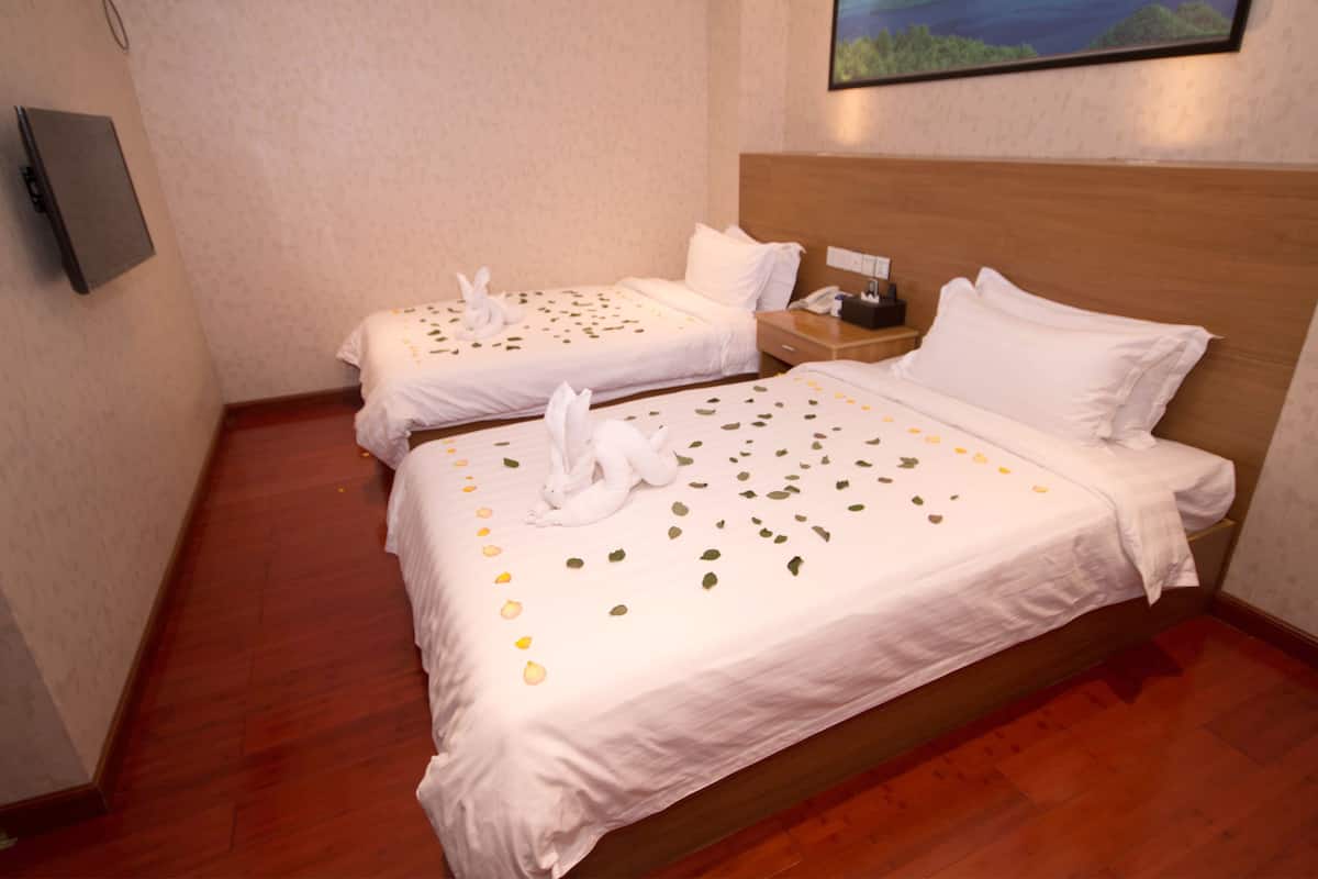 Deluxe Twin Room, No Windows
