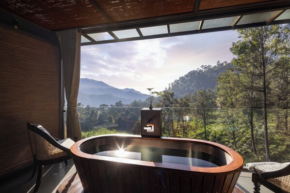 Couples treatment rooms, hot tub, steam room, Ayurvedic treatments