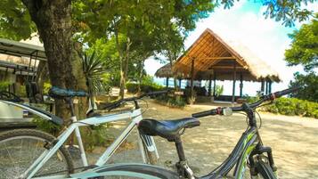 A bicycle parked near a tree, a thatched-roof structure, and a beach in the background.