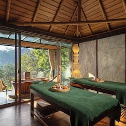 Hot tub, steam room, Ayurvedic treatments, massage/treatment rooms