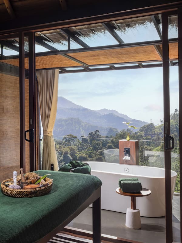 Hot tub, steam room, Ayurvedic treatments, massage/treatment rooms