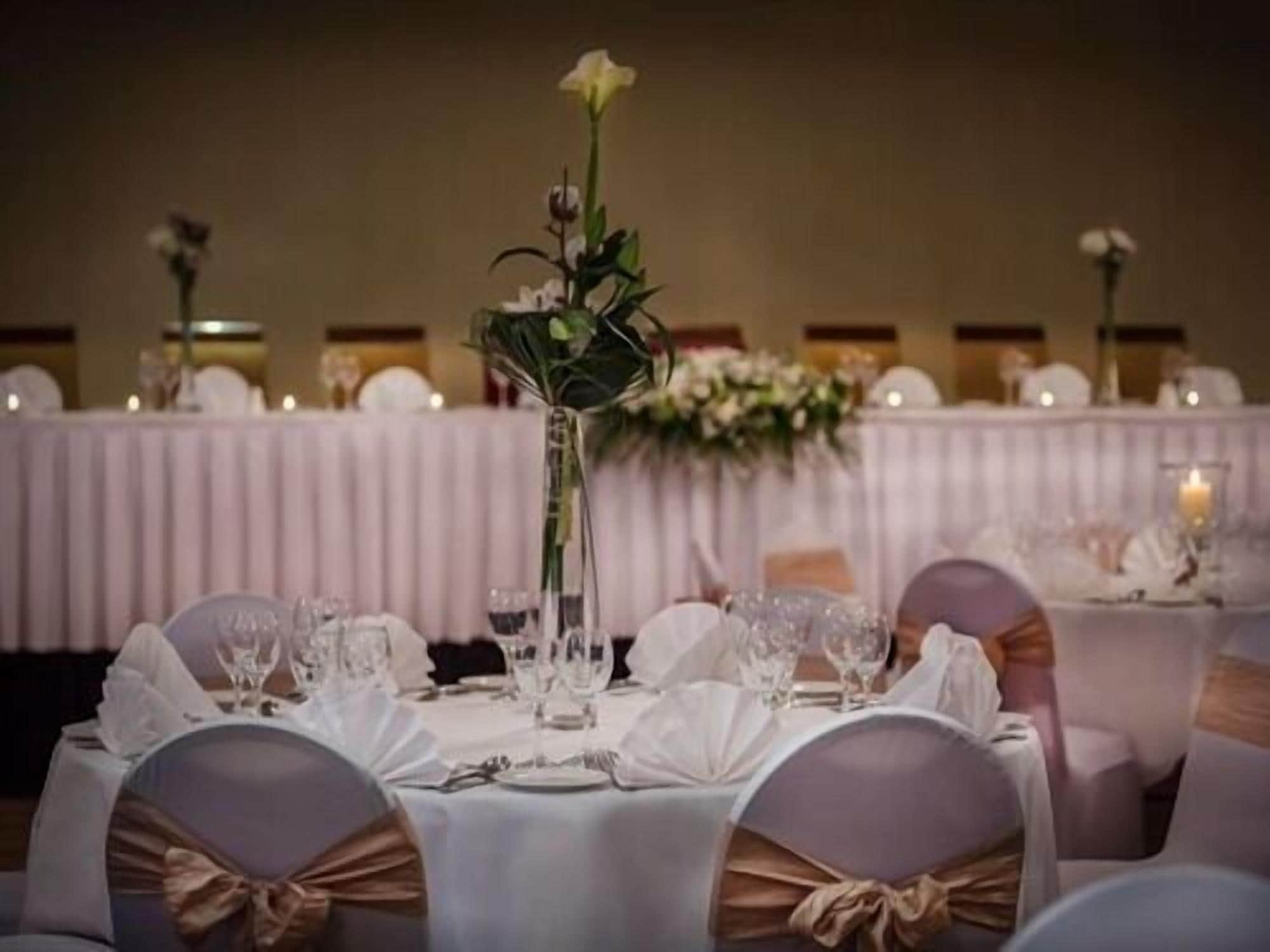 Una elegante disposición para el comedor con mesas redondas, manteles blancos y sillas adornadas con lazos de satén.