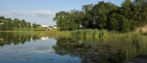Un lago tranquilo con un muelle de madera, rodeado de árboles y algunos edificios al fondo.