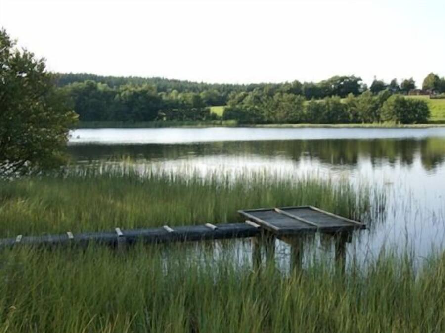 Een rustig meer met een steiger die het water in reikt, omringd door weelderige begroeiing en bomen op de achtergrond.
