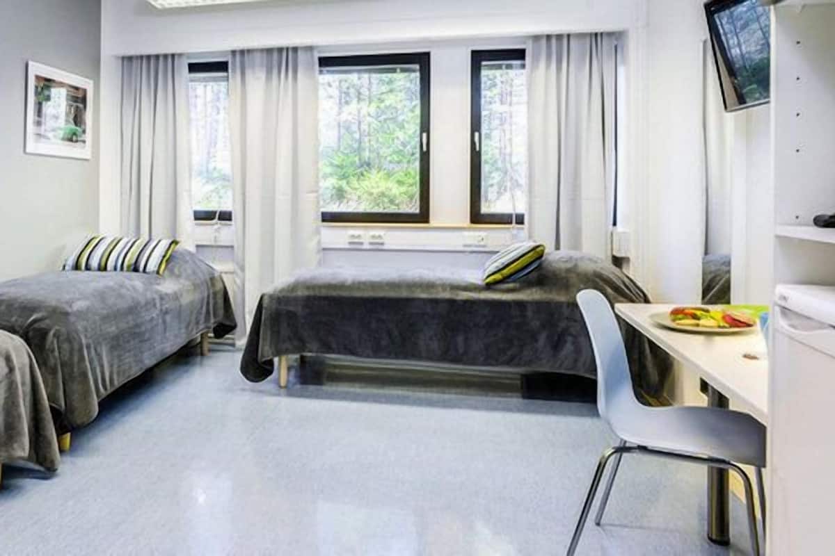 Triple Room, Shared Bathroom | Desk, iron/ironing board, free WiFi, bed sheets
