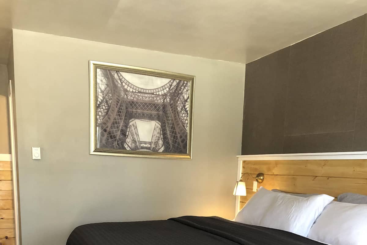 A bedroom with a bed, a headboard, a wall-mounted lamp, and a framed picture of the Eiffel Tower.