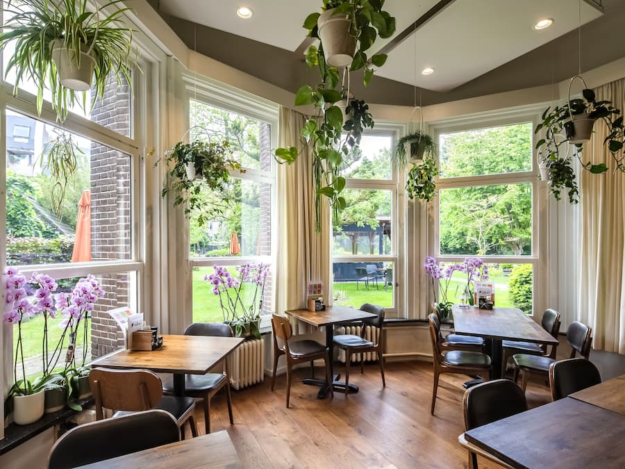 Daily buffet breakfast (EUR 19.00 per person)