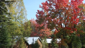 A rustic log cabin surrounded by autumn foliage. - Lake Parlin Lodge & Cabins (Jackman)