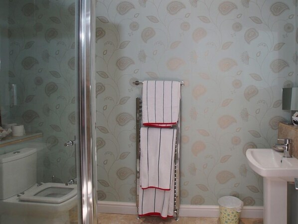 Un baño con cabina de ducha de vidrio, inodoro, lavabo y toallero con dos toallas.