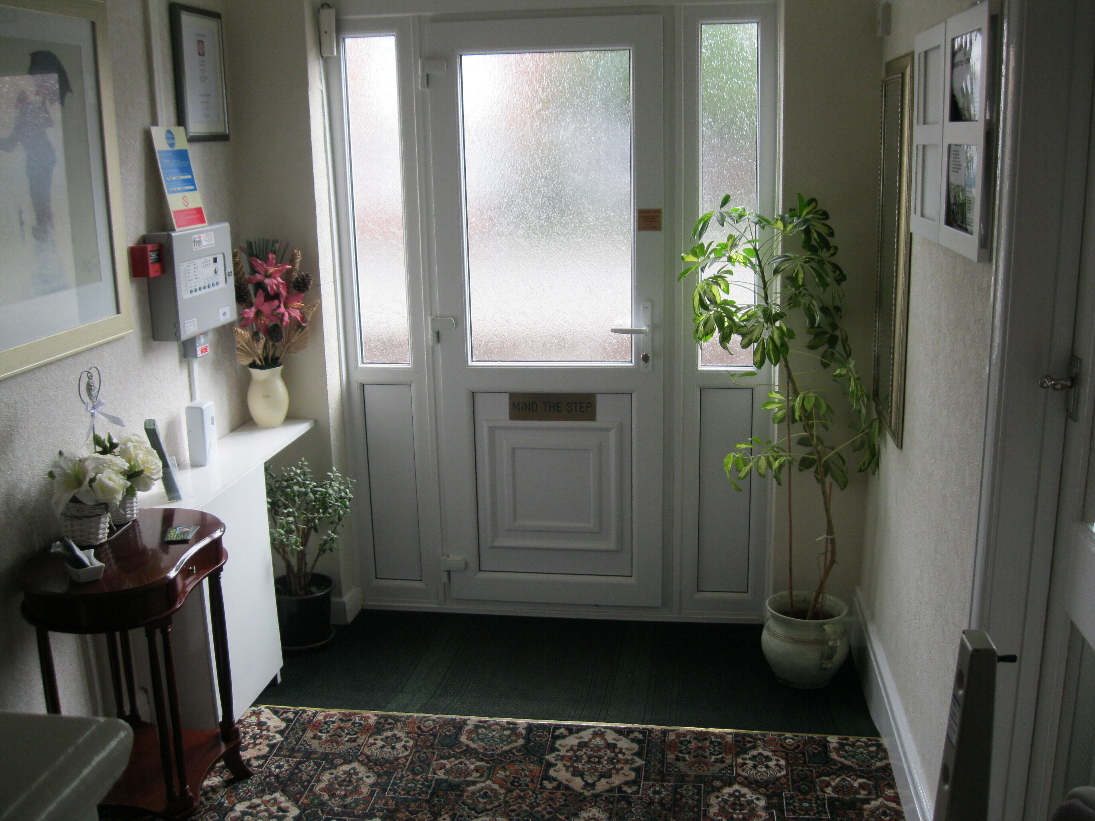 A hallway with a patterned rug, a potted plant, and a door with a frosted glass panel.