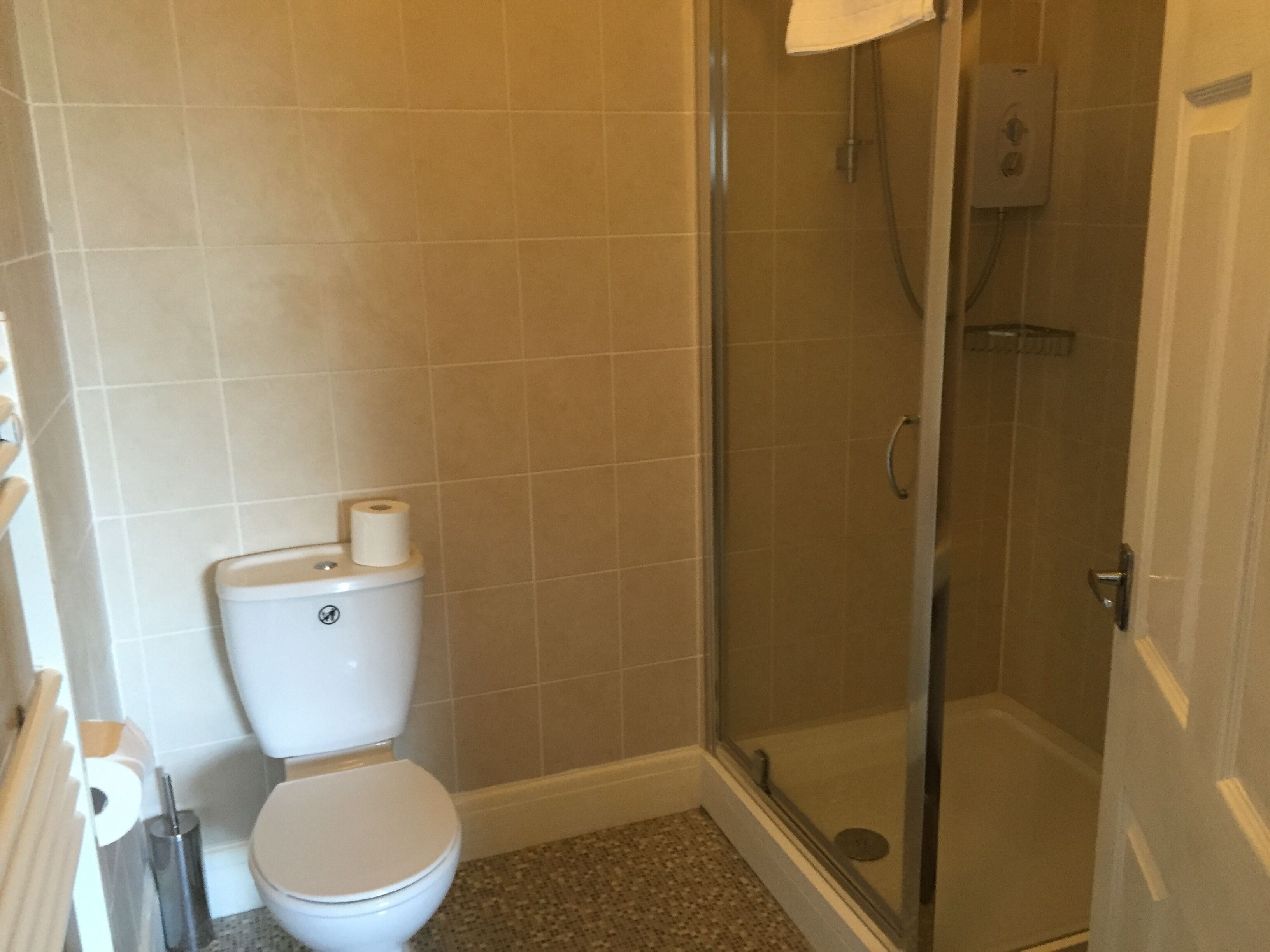 A bathroom with a toilet, a shower, and a glass door.