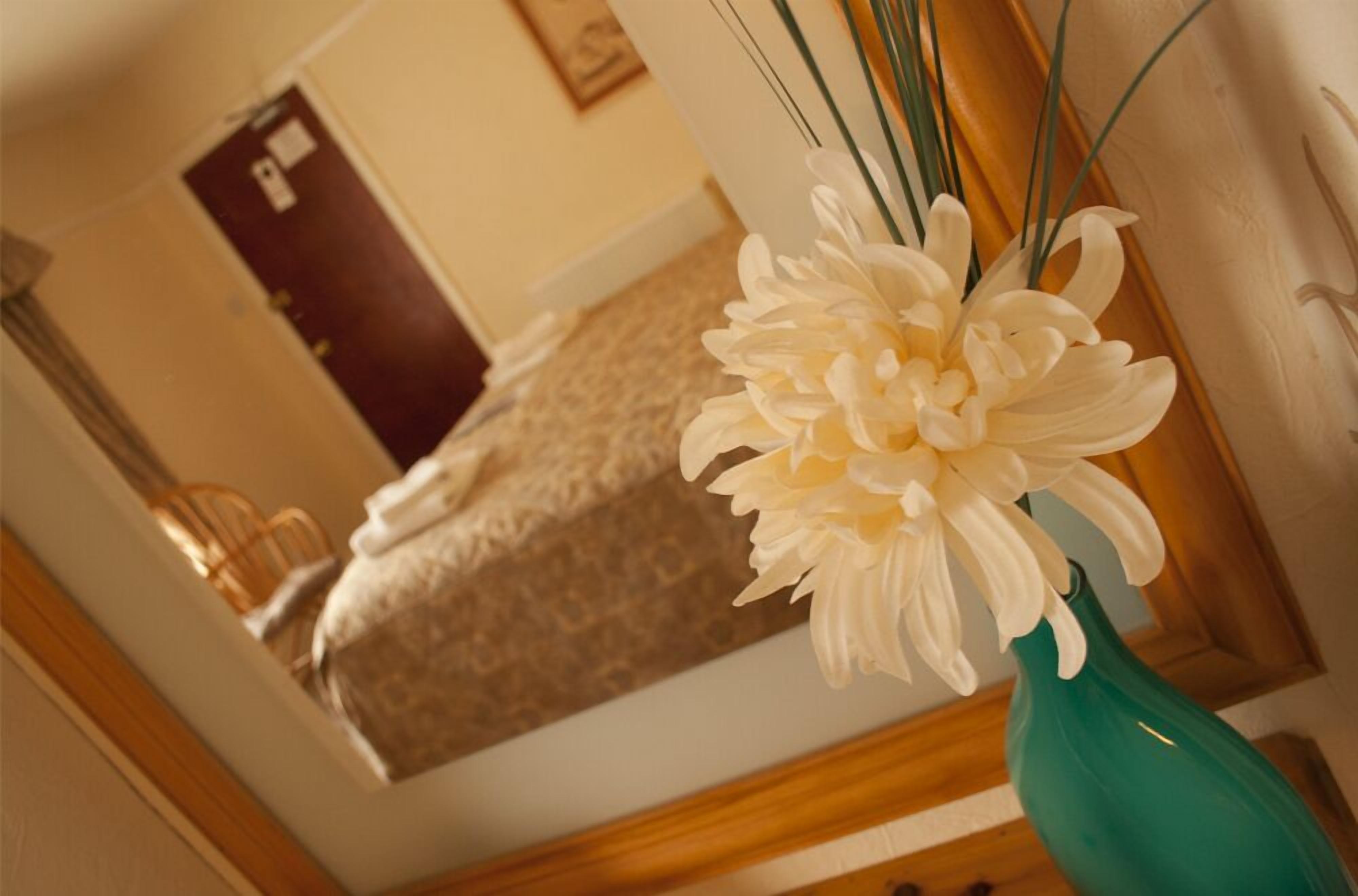 A room with a bed, a wooden chair, and a vase with a white flower.