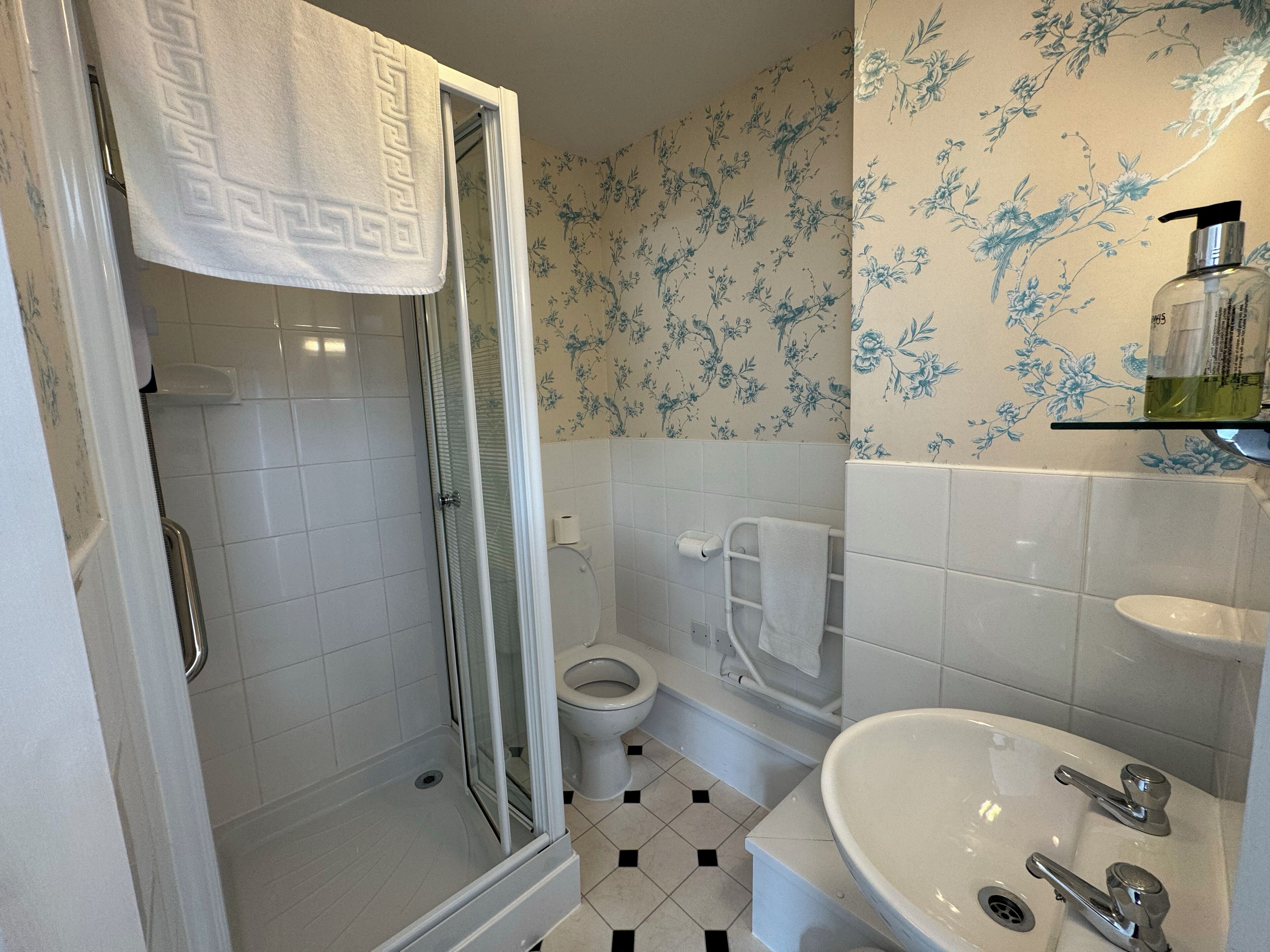 Une salle de bain avec douche, toilettes et lavabo.