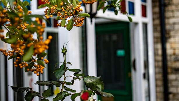 A building with a green door and windows with red and blue panes. - Raincliffe Hotel (Scarborough)