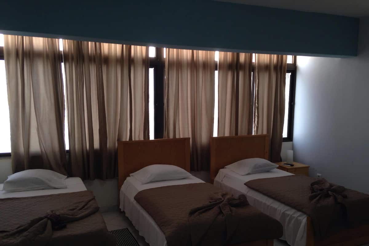 Triple Room | 1 bedroom, desk, iron/ironing board, rollaway beds