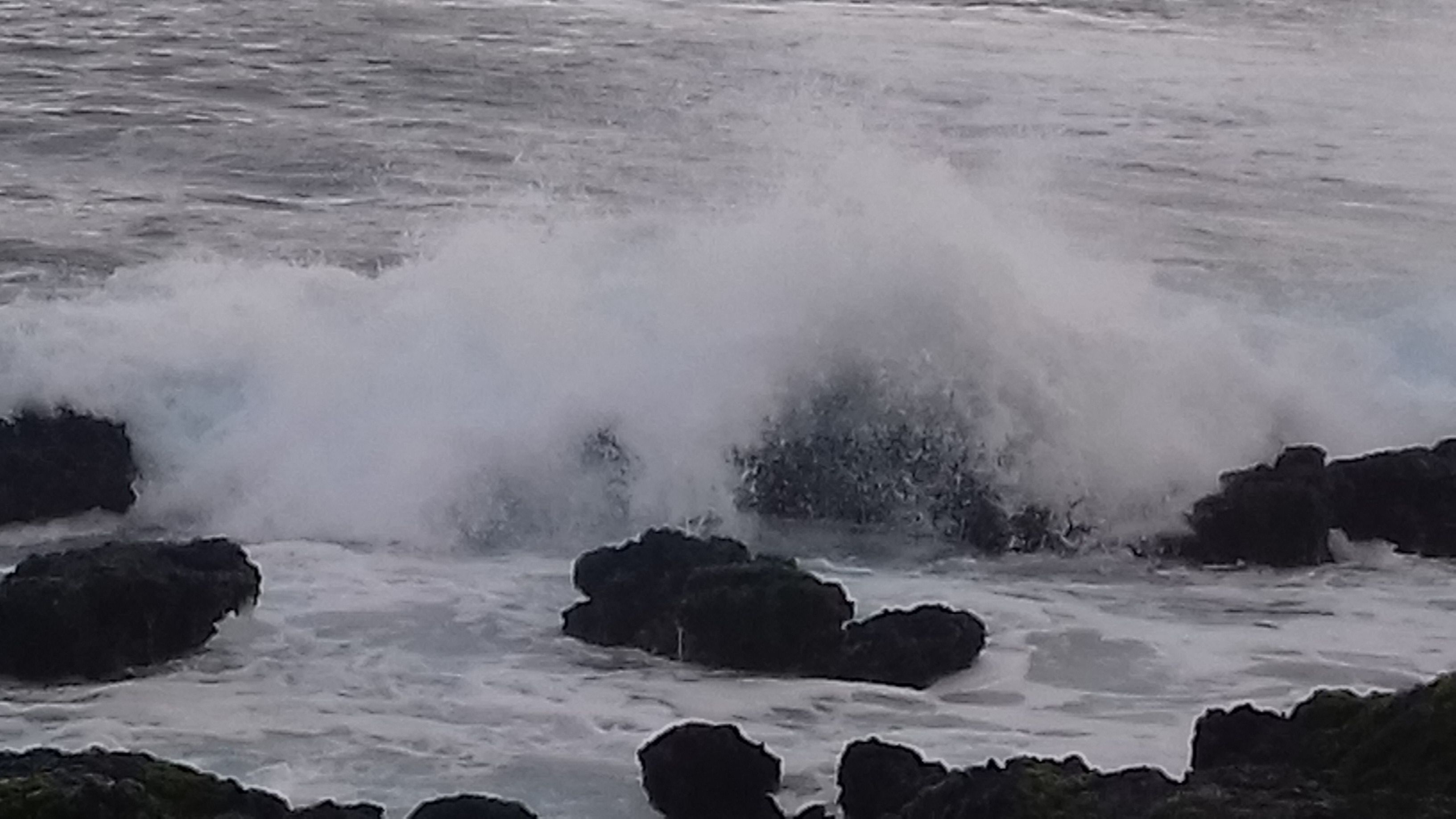 Foto - LT Aparthotel