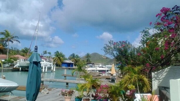 A marina with boats docked, palm trees, and a mountainous backdrop. - Villa 244D at Jolly Harbour (Jolly Harbour)