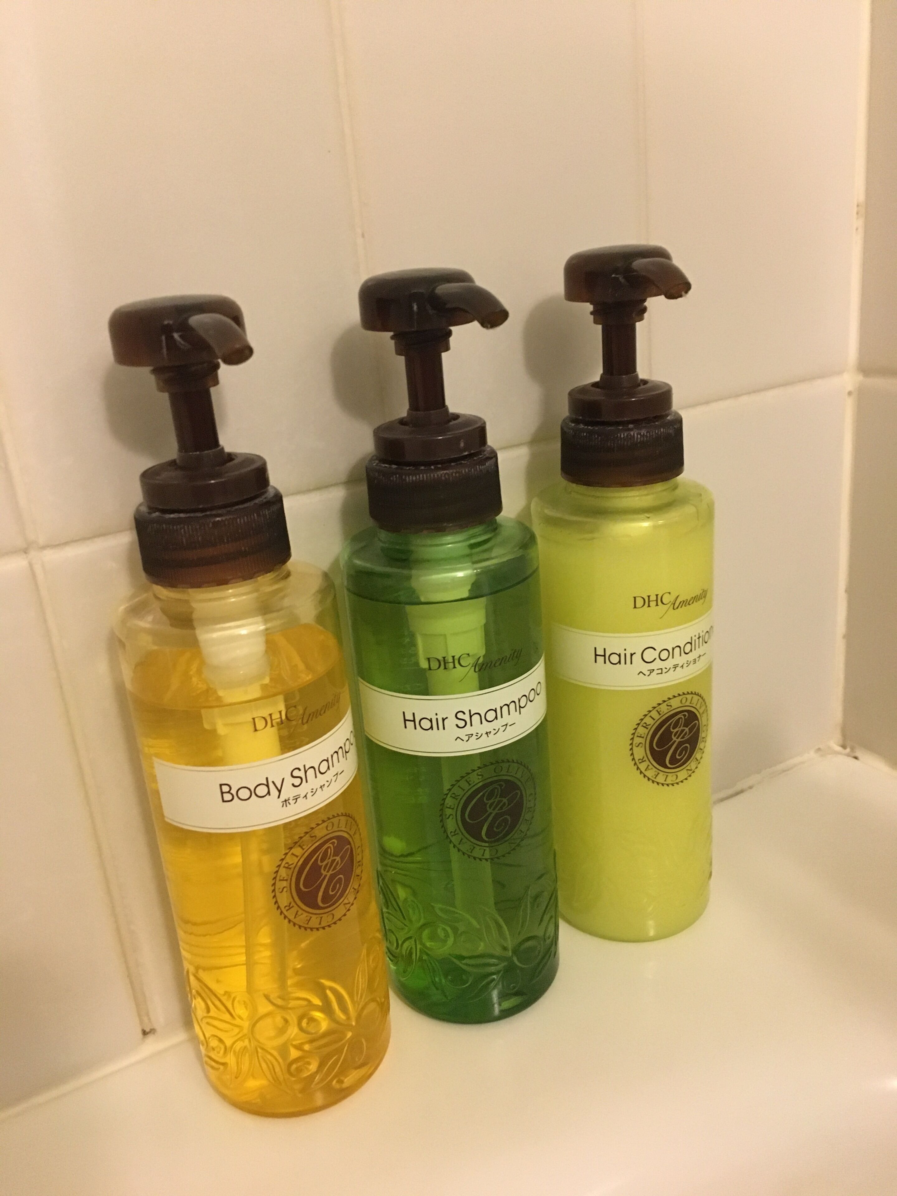 free toiletries, hair dryer, slippers, bidet