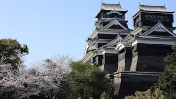 Un castillo japonés tradicional con varios niveles y base de piedra, rodeado de exuberante follaje y cerezos en flor.