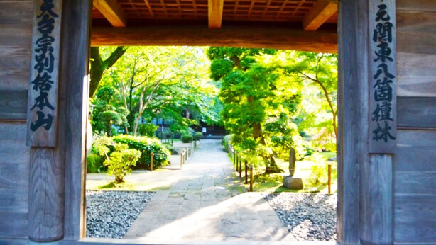 Un sendero en un jardín japonés tradicional, con pavimento de piedra y postes de madera.
