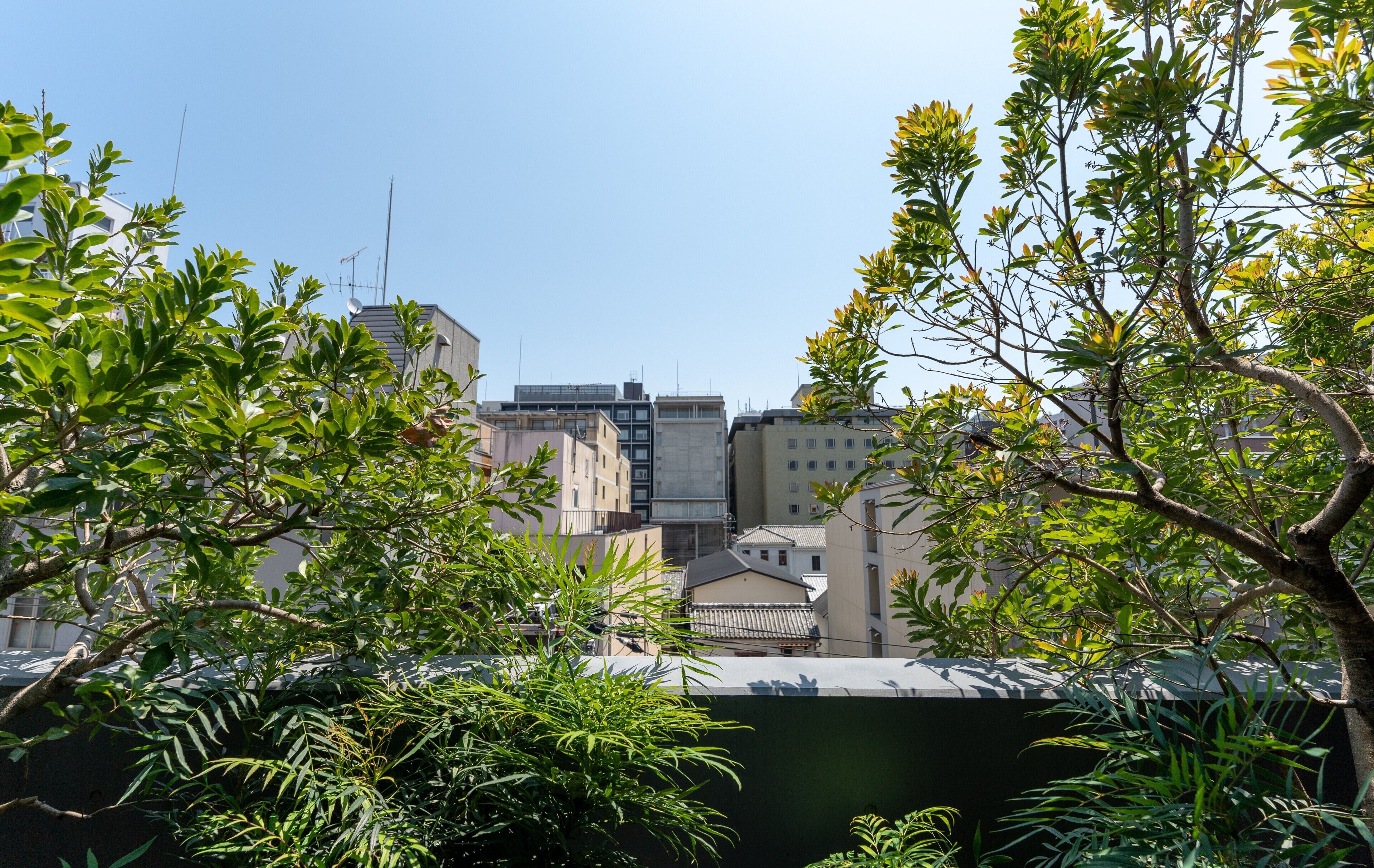 A cityscape with buildings and trees.