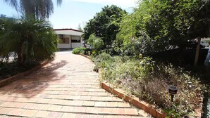 A paved pathway leading to a building with a red roof, surrounded by greenery and a palm tree. - Copper City Motel (Cobar)