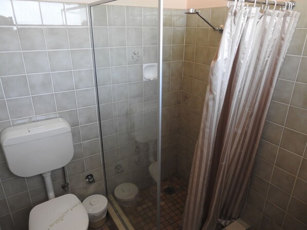 A bathroom with a glass-enclosed shower, a toilet, and a bidet.