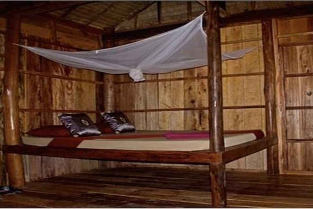 cozy kikki lu | in-room safe