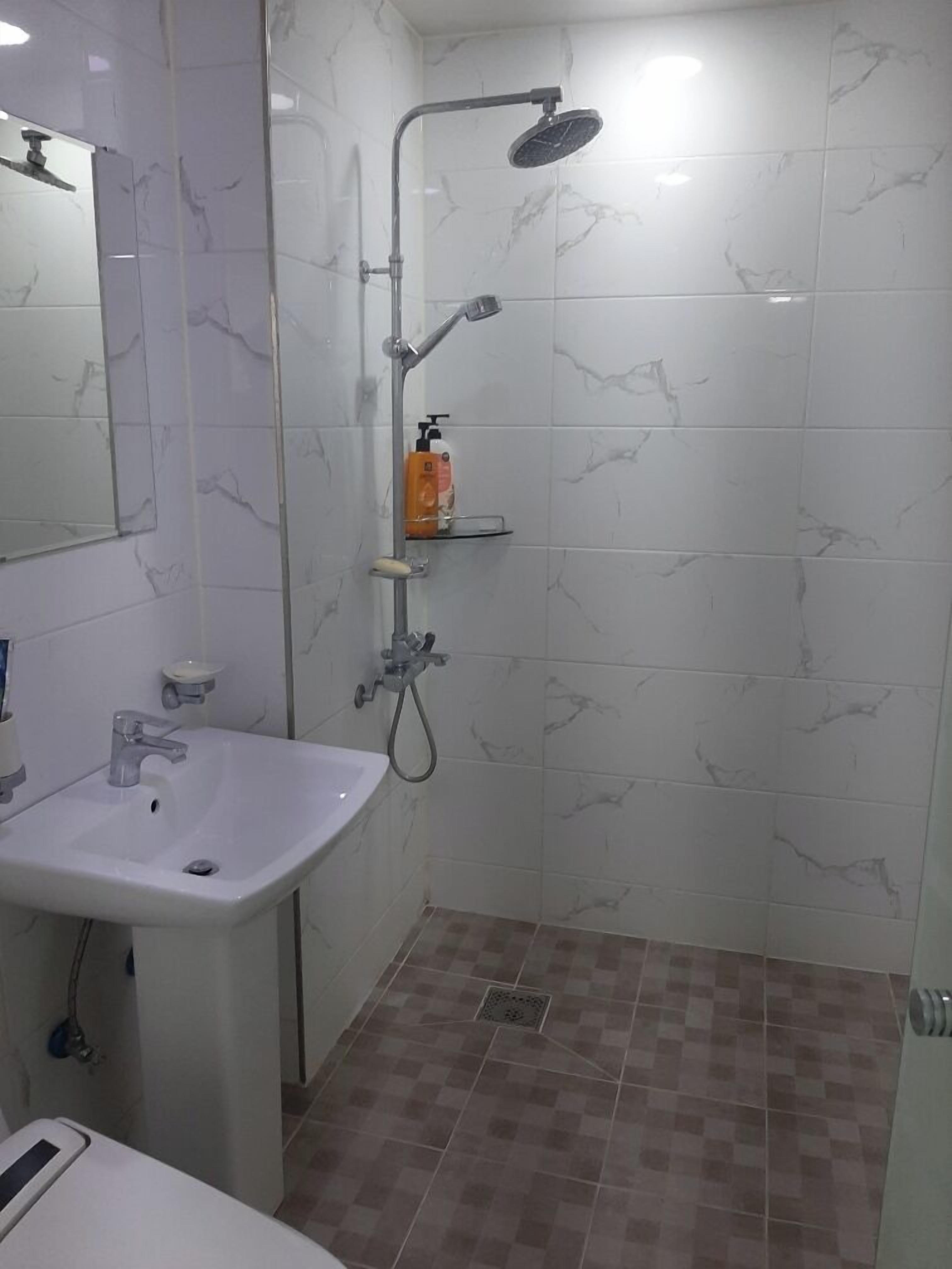 A bathroom with a white sink, a mirror, a shower with a handheld showerhead, and a soap dispenser on a shelf.