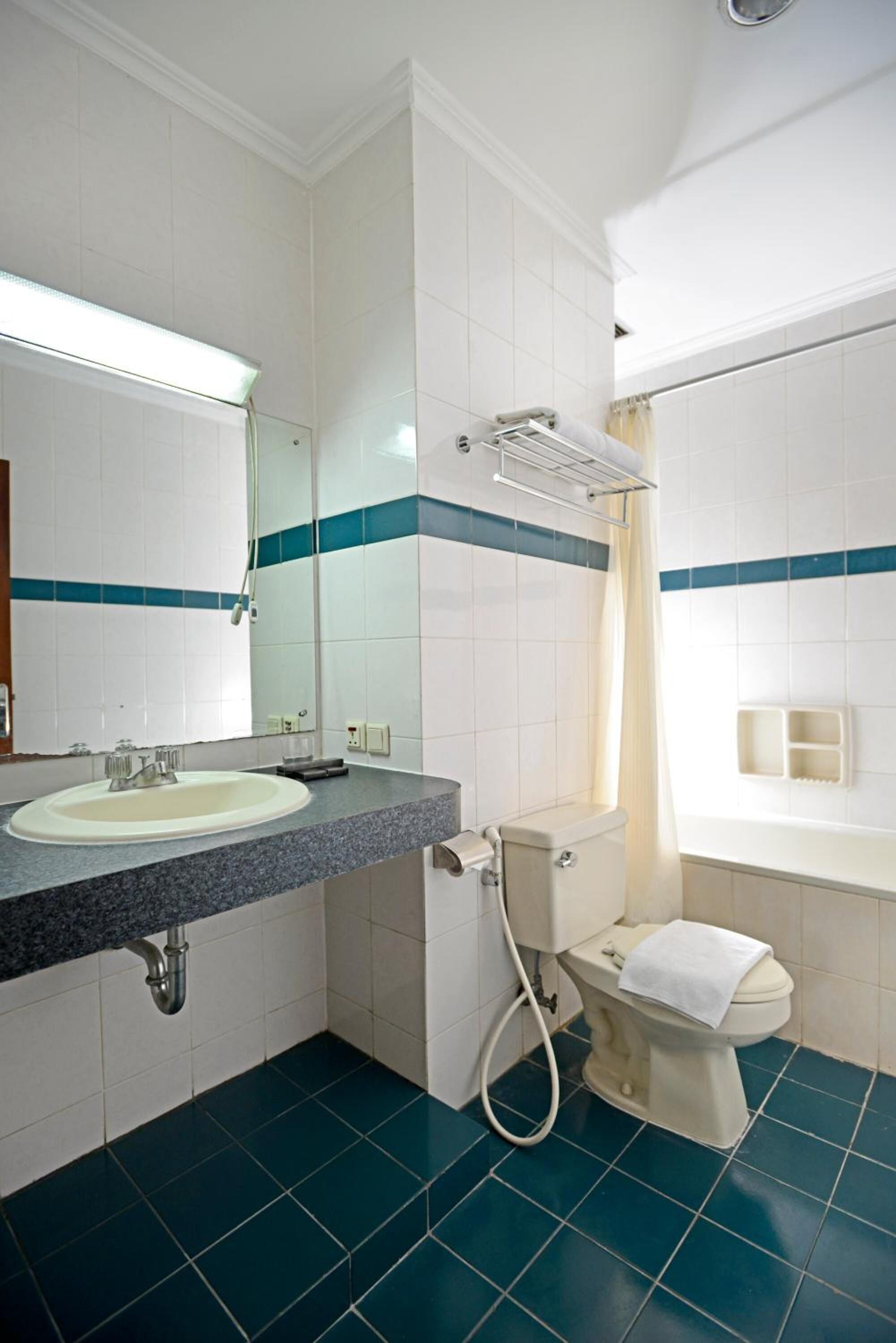 Une salle de bain avec un lavabo, des toilettes et une douche.