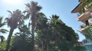 A building with multiple balconies, surrounded by tall palm trees. - Lemas Suite Hotel  (Manavgat)