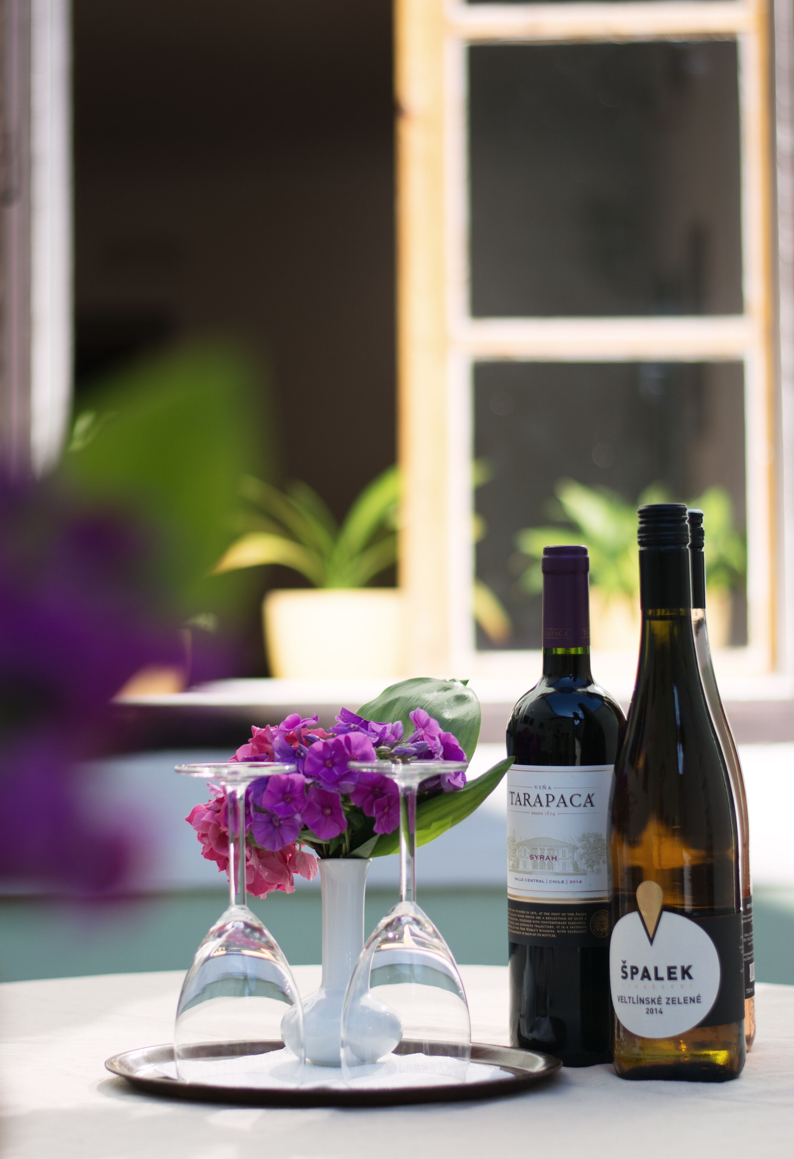 Photo - Pension Dientzenhofer