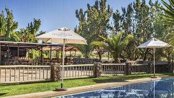 Outdoor pool, sun loungers