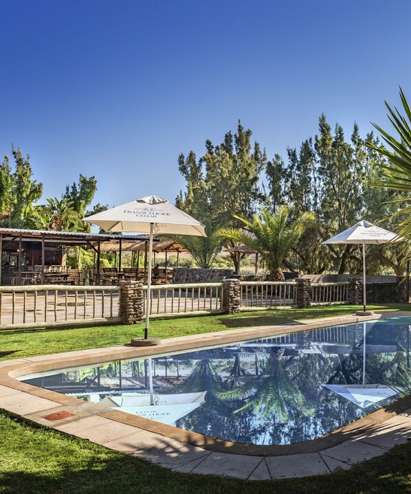 Outdoor pool, pool loungers