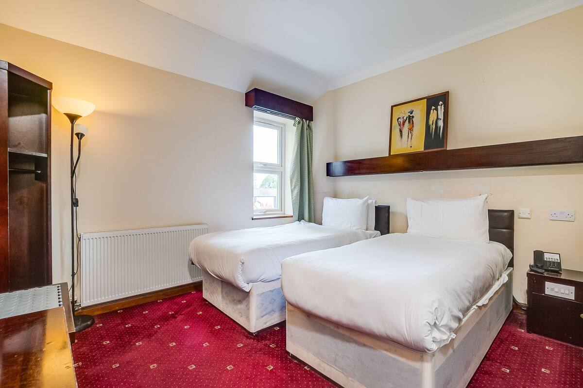 A hotel room with two single beds, a red carpet, a radiator, a window with curtains, a painting on the wall, and a telephone on a bedside table.