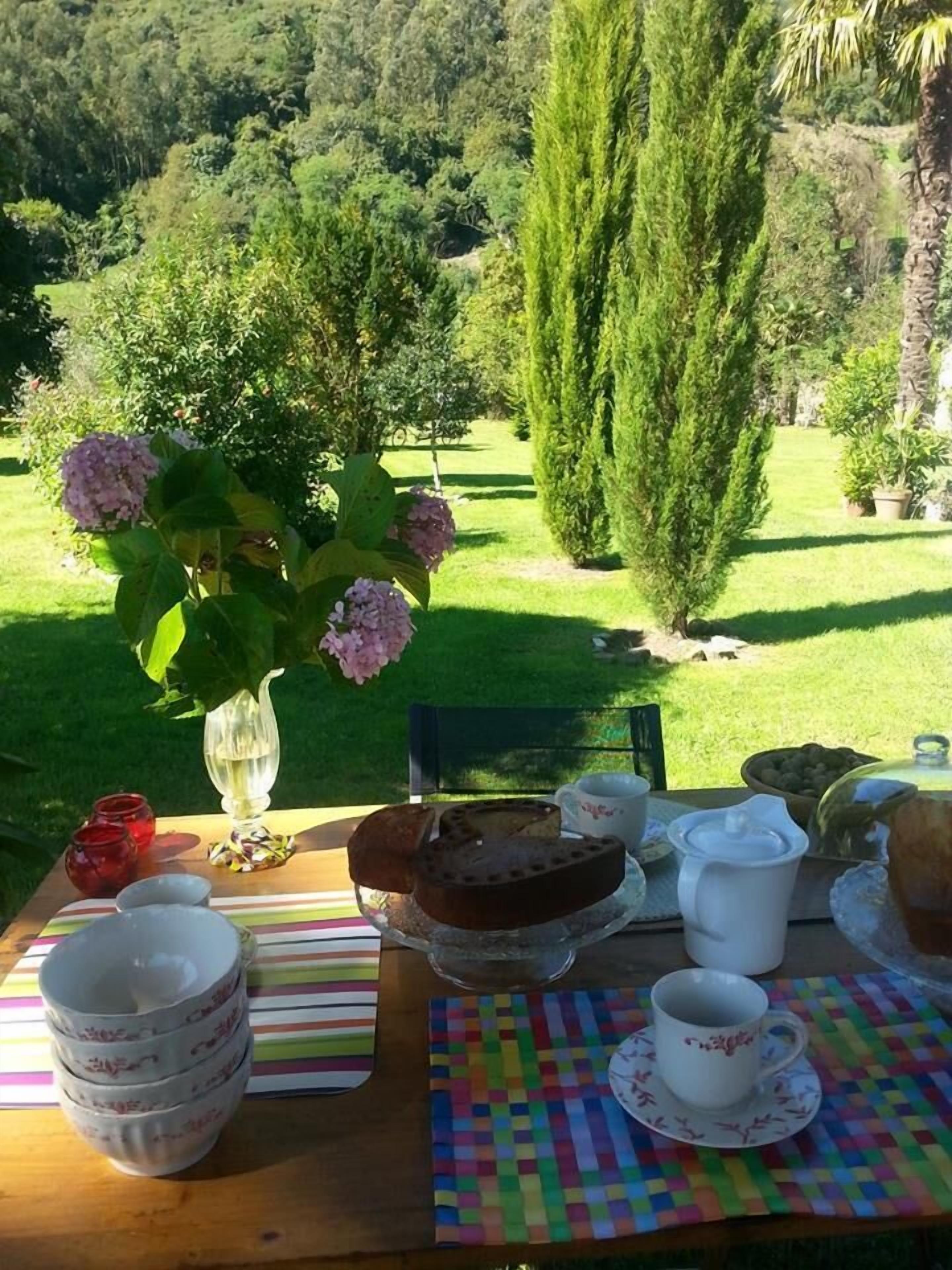An outdoor dining table with a cake, cups, and a vase of flowers, set against a backdrop of a grassy area and trees.