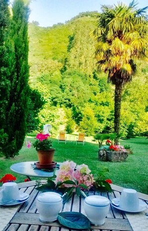 A garden setting with a table set for a meal, surrounded by lush greenery and a palm tree. - La Casona Azul (Corvera de Toranzo)