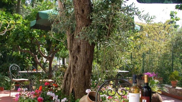 Un área de comedor al aire libre con una mesa dispuesta con frutas, vino y un florero.