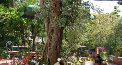 Taormina Garden Hotel