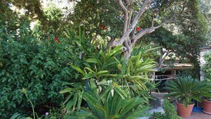 Un jardín con plantas diversas en macetas y un árbol.