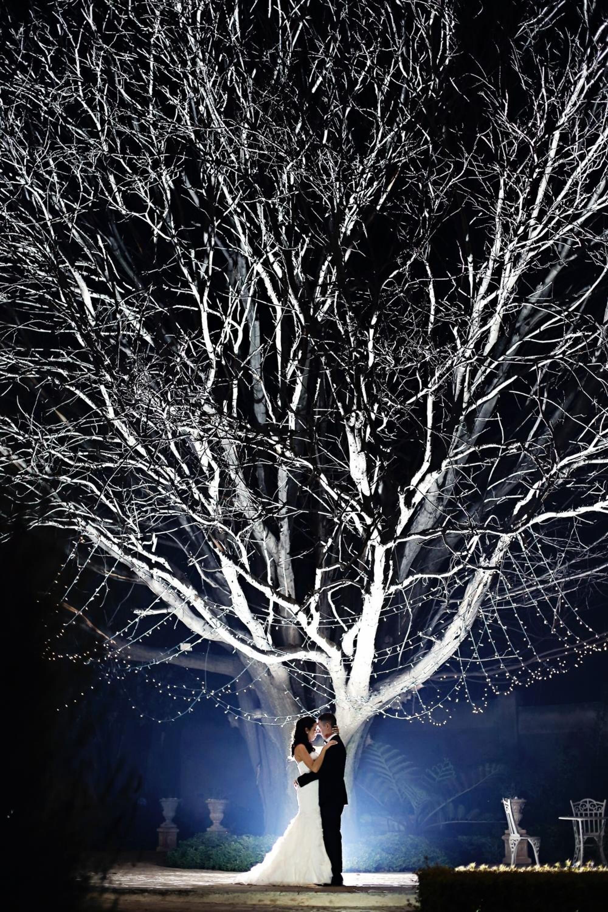 Una parella s'abraça sota un arbre amb branques despullades i llums de cadena.