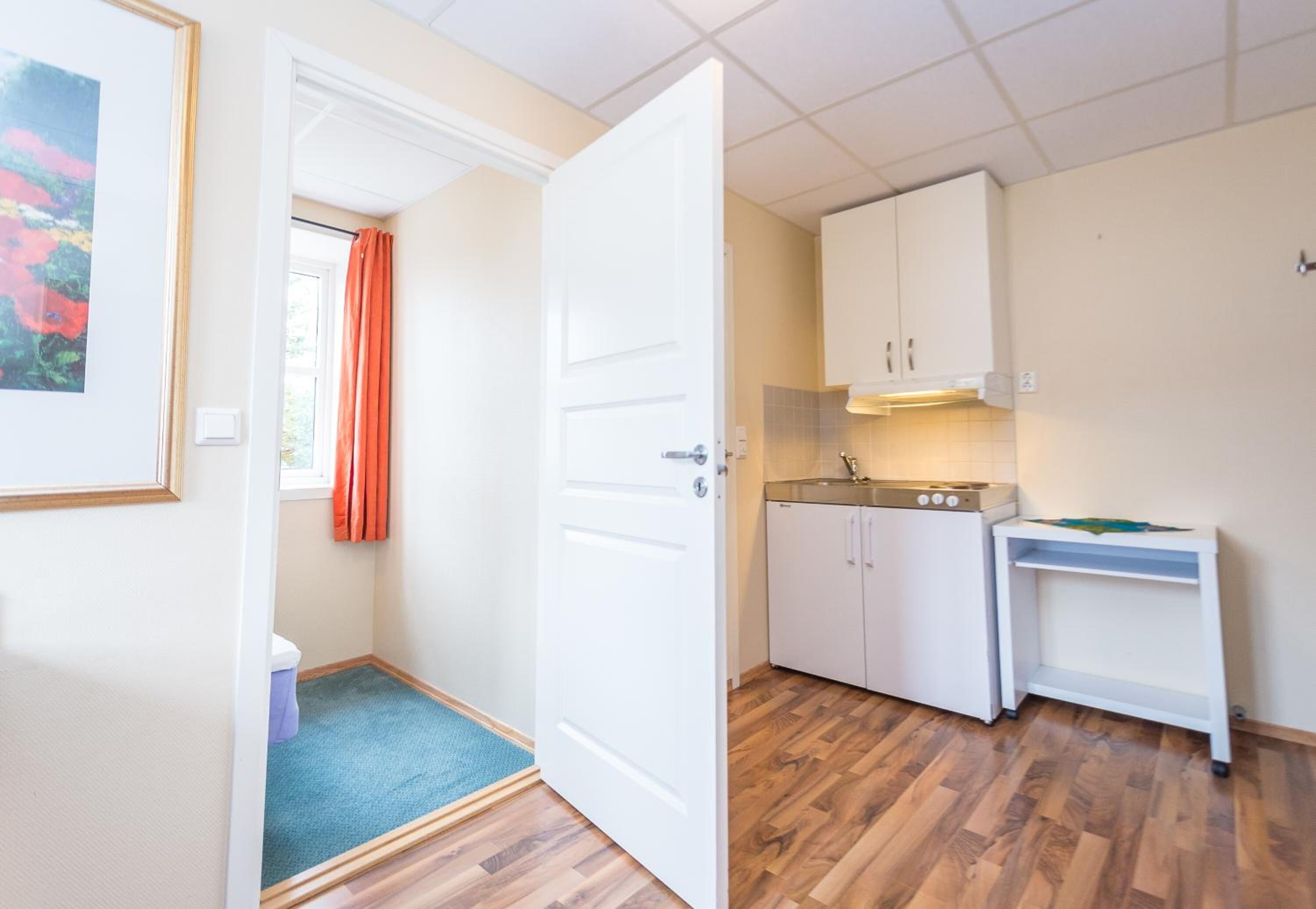 fridge, stovetop, coffee/tea maker, electric kettle