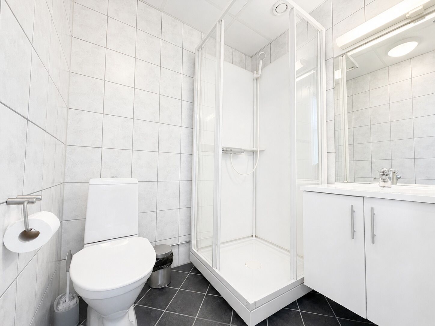 A modern bathroom with a toilet, a shower enclosure, and a vanity with a mirror.